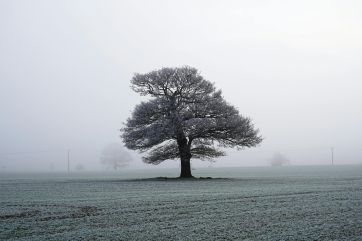 Attēls rakstam: Ceturtdien daudzviet snigs un gaidāma atkala