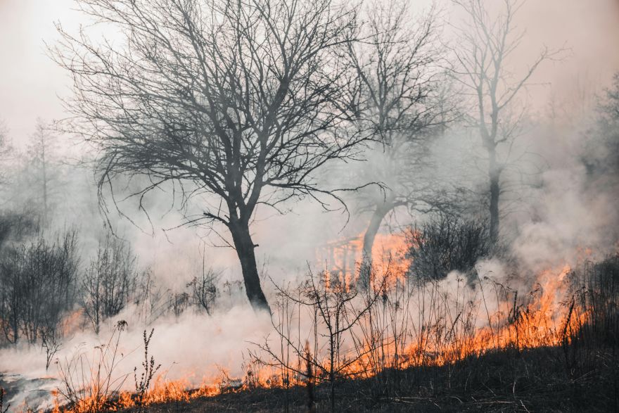 Pērn Latvijā reģistrēts 201 meža ugunsgrēks kopumā 73,1 hektāra platībā