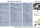 Attēls rakstam: Jūlijā bibliobuss dosies 8 maršrutos