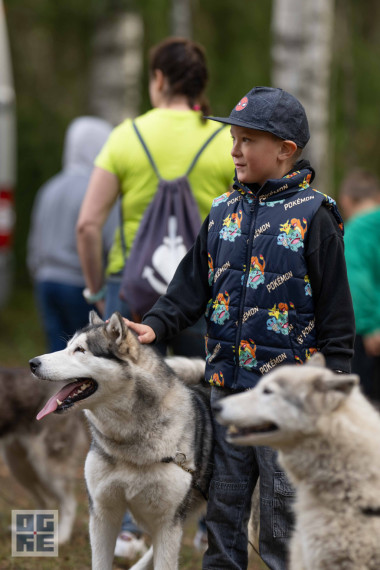 FOTO: “Meža zinībās Zilajos kalnos” – seši simti dalībnieku no Ogres novada skolām