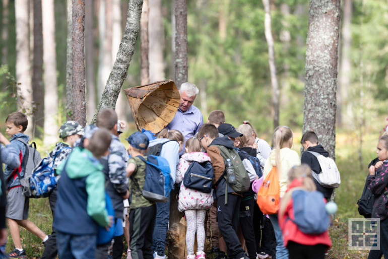 FOTO: “Meža zinībās Zilajos kalnos” – seši simti dalībnieku no Ogres novada skolām