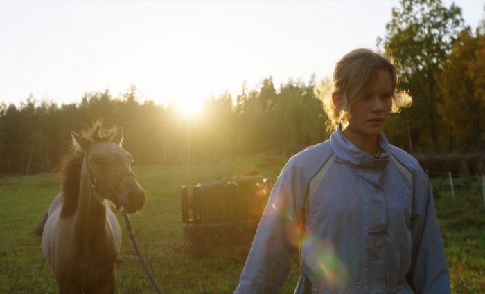 Aptauja. Ko jūs domājat par latviešu kino?