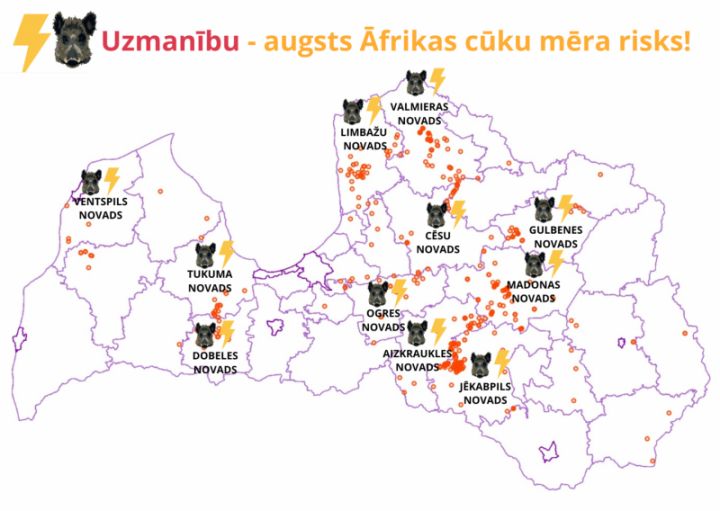 Novadā plosās Āfrikas cūku mēris; cūku turētājiem jābūt uzmanīgiem!