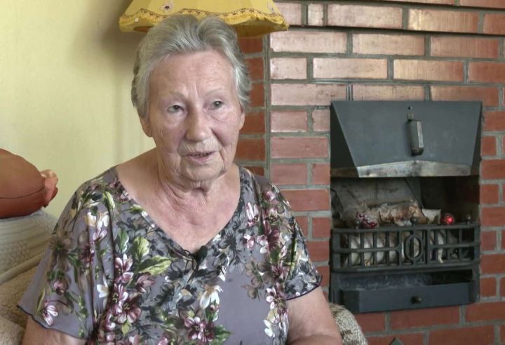 Lauberes seniore ziņo par negodprātīgu politiķi malkas piegādātāju