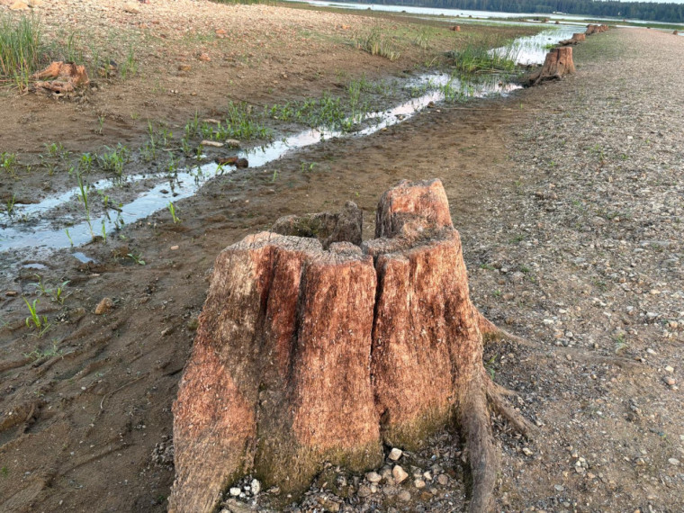 Foto: Krāšņi skati un unikāls piedzīvojums: ļaudis steidz ar kājām doties uz Svētā Meinarda salu Daugavā