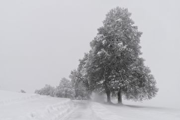 Attēls rakstam: Piektdien, pūšot stindzinošam vējam, gaidāms sniegvilksnis