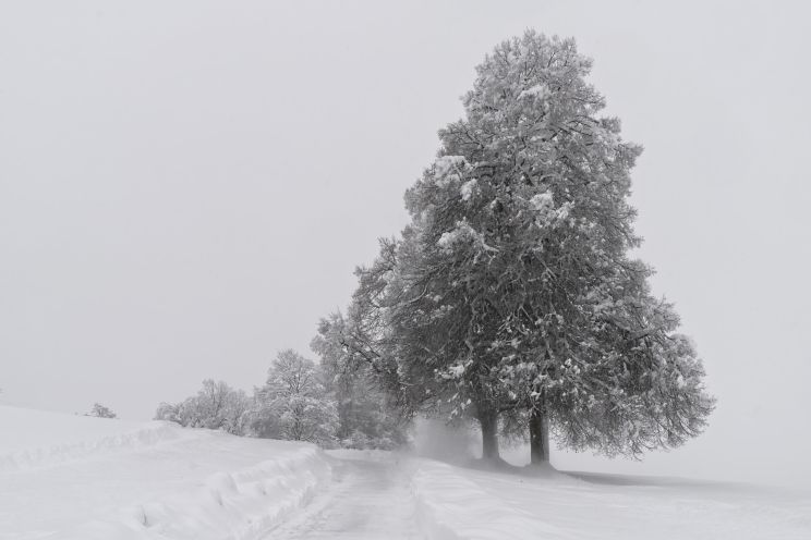 Attēls rakstam: Piektdien, pūšot stindzinošam vējam, gaidāms sniegvilksnis