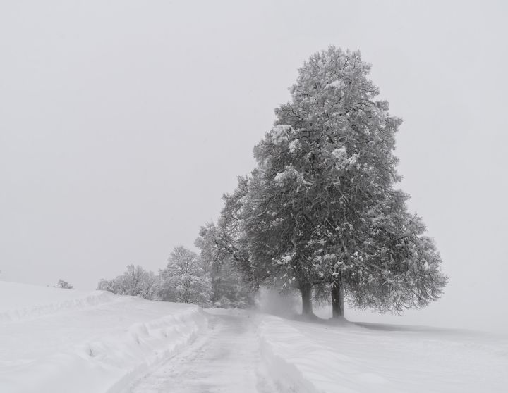 Piektdien, pūšot stindzinošam vējam, gaidāms sniegvilksnis