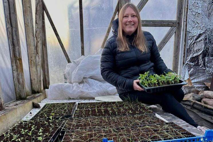 Attēls rakstam: Kad sniegs nokusis, cilvēki meklē sēklas un sarunas