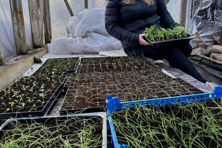 Attēls rakstam: Kad sniegs nokusis, cilvēki meklē sēklas un sarunas