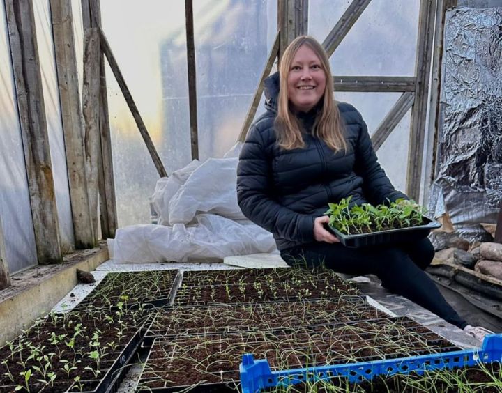 Kad sniegs nokusis, cilvēki meklē sēklas un sarunas