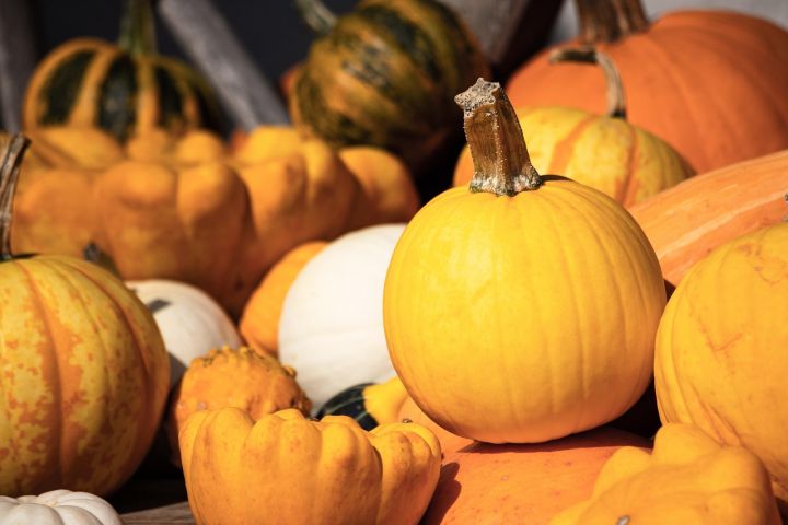 Rudens ražas tirdziņš un koncerts