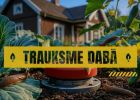 Attēls rakstam: Sešās īsfilmās skaidros par invazīvajām sugām, kas pārņem Latviju