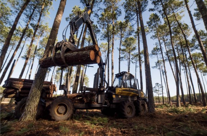 Investīcijas inovācijās – meža nozares izaugsmes pamats