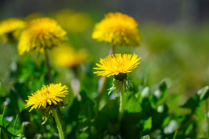 Otrdien pūtīs brāzmains vējš un palaikam spīdēs saule