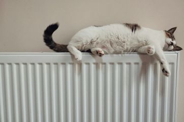 Attēls rakstam: Madlienā, Suntažos un citviet gatavosies apkures sezonai. Lūk, kas jāņem vērā iedzīvotājiem!