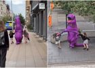 Attēls rakstam: Parasts rīts Rīgā... Ielās manīta "dinozauru mamma" ar rokassomiņu