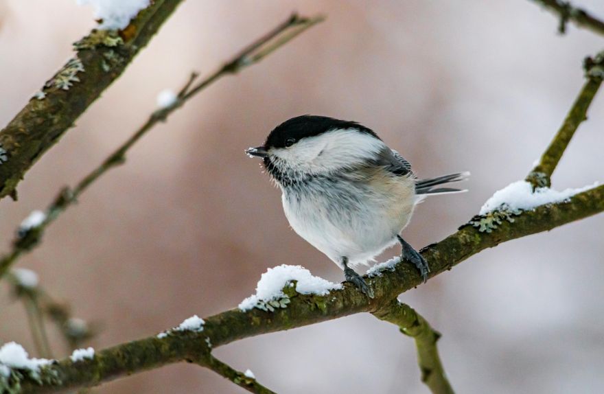 Nedēļas nogalē pārspēti desmit siltuma rekordi