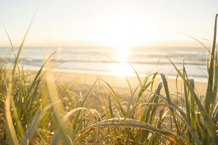 Attēls rakstam: Atbild iedzīvotāji. Kādi ir jūsu spilgtākie šīs vasaras iespaidi?