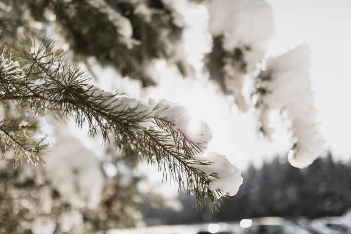 Latvijā sākusies meteoroloģiskā ziema