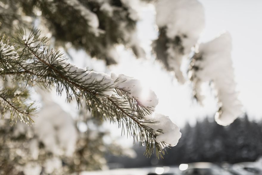 Latvijā sākusies meteoroloģiskā ziema