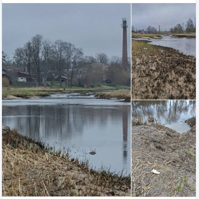 Māris Olte par situāciju Ogres upē: Minoritātēs ieklausās vairāk nekā mūsu vides aizstāvju balsī