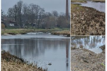 Attēls rakstam: Māris Olte par situāciju Ogres upē: Minoritātēs ieklausās vairāk nekā mūsu vides aizstāvju balsī