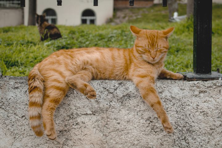 Šodien var tikt pārspēts 15. aprīļa siltuma rekords