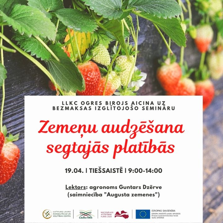 19.aprīlī- bezmaksas seminārs "Zemeņu audzēšana segtajās platībās"