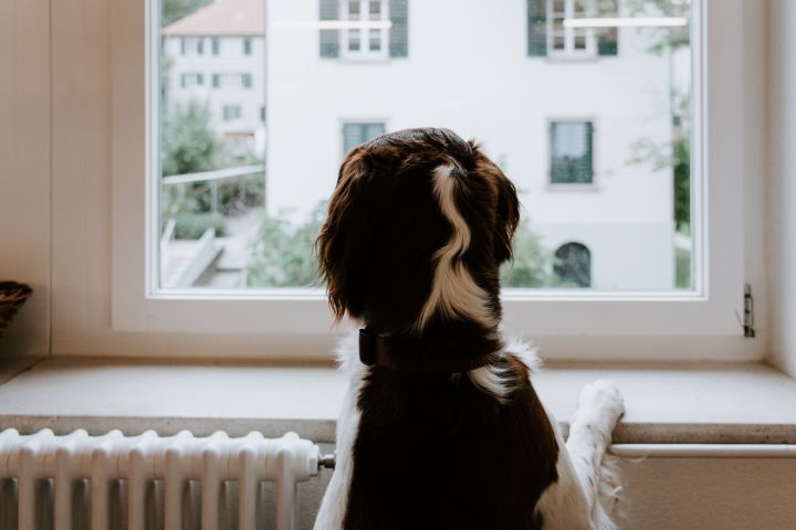 Apkures sezona nāk ar labām ziņām