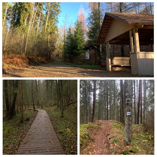 Atjaunots pastaigu takas marķējums Ķeguma piepilsētas mežos