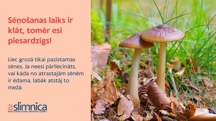 Austrumu slimnīcas ārsti aicina būt piesardzīgiem ar sēņu likšanu grozā un lietošanu uzturā