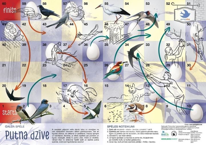 Bērniem un jauniešiem izveidota galda spēle "Putna dzīve"