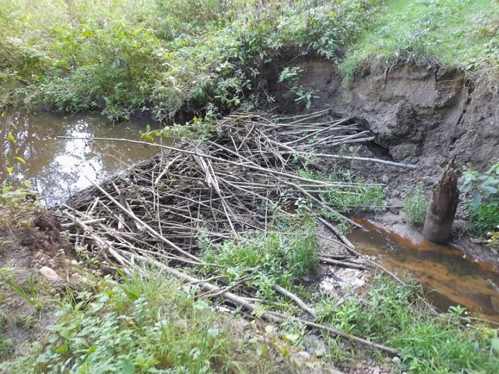 Birzgales pagastā patvaļīga būvniecība