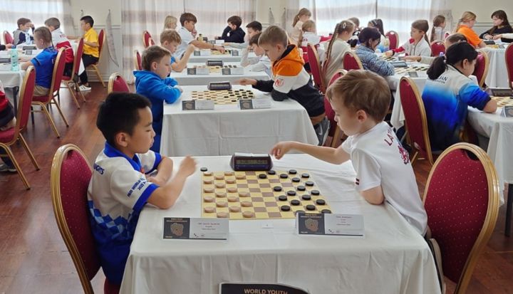 Brāļiem Andersoniem pasaules dambretes čempionātā spēcīgs sniegums