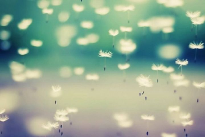 Brīnumi un mīlestība