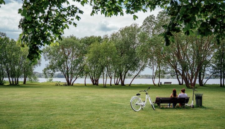 Daugavas peldvietā Ikšķilē novērotas zilaļģes – peldēties aizliegts!