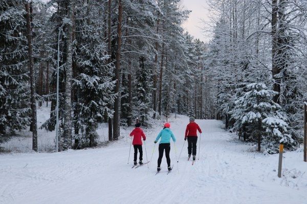 Distanču slēpotāji iecienījuši trases Ogres Zilajos kalnos Video