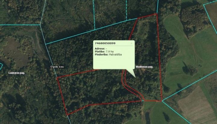 Elektroniskā izsole kustamai mantai – 5 (piecas) mežaudžu cirsmas Madlienas pagastā
