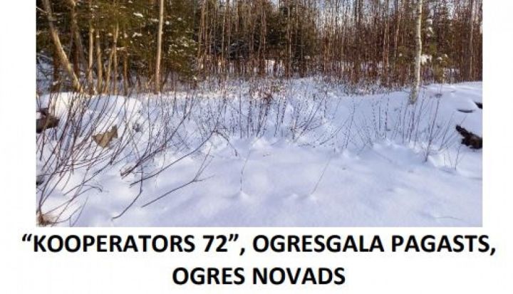 Elektroniska izsole pašvaldībai piederoša nekustamā īpašuma "Kooperators 72" atsavināšanai