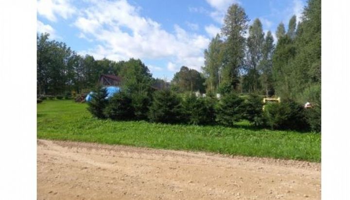 Elektroniska izsole pašvaldībai piederoša nekustamā īpašuma "Mieriņu zeme" atsavināšanai