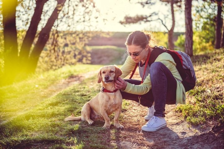 Ērces pamodušās: sargājiet sevi un savus mīluļus!