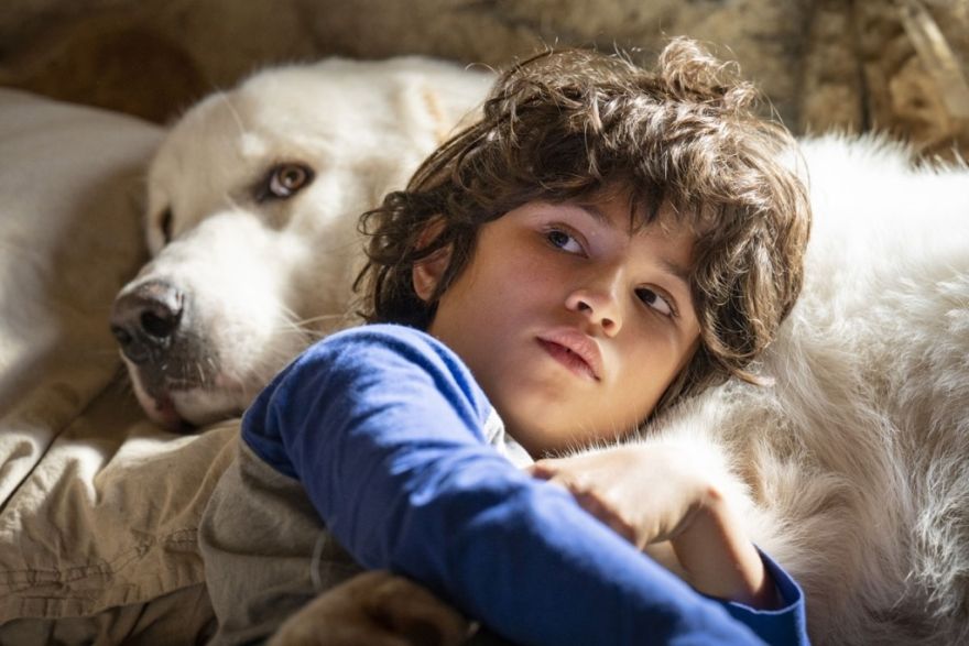 Filma "Bella & Sebastjēns: jaunā paaudze" Ķegumā