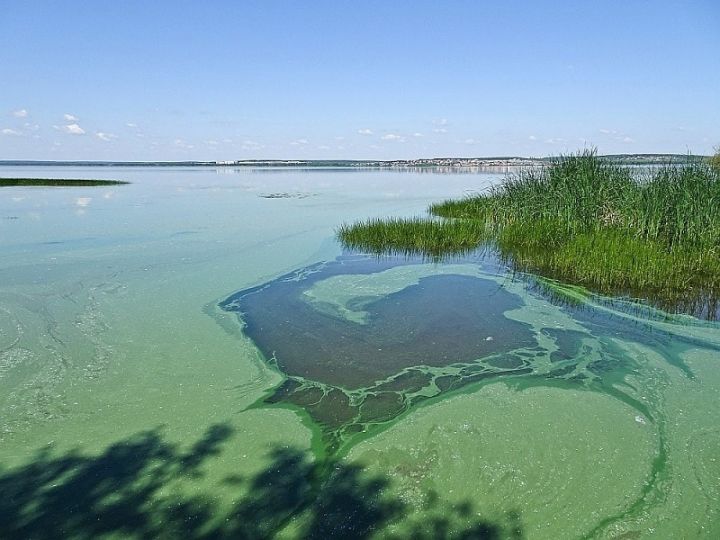 Ikšķiles pludmales peldvietā nav ieteicams peldēties