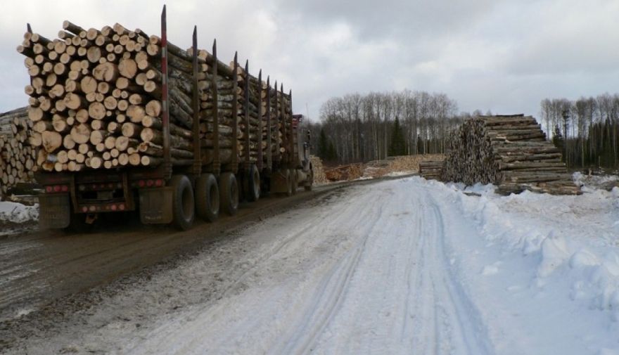 INFORMĀCIJA tiem, kuri  izmanto pašvaldības ceļus kokmateriālu transportēšanai