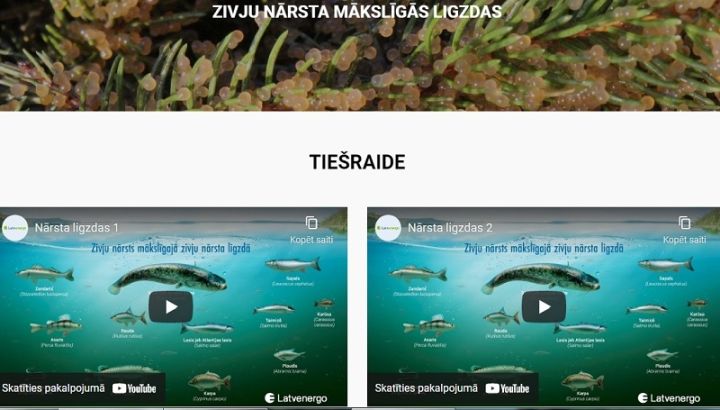 Interneta tiešraidē iespējams vērot zivju nārsta ligzdu Daugavā