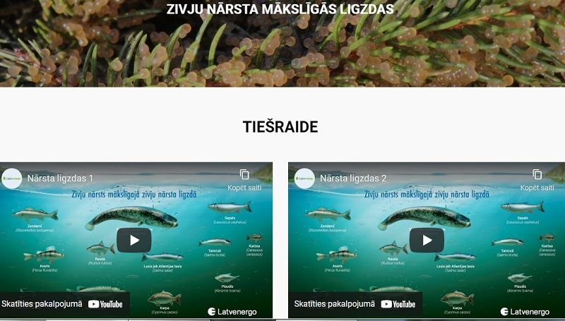 Interneta tiešraidē iespējams vērot zivju nārsta ligzdu Daugavā