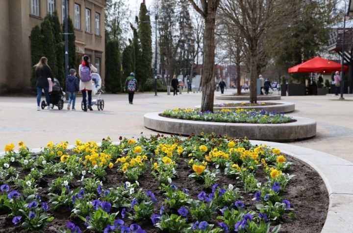 Iveta Vjakse: "Ziedi ir tie, kas sniedz cerību, ļaujot justies labi un droši"