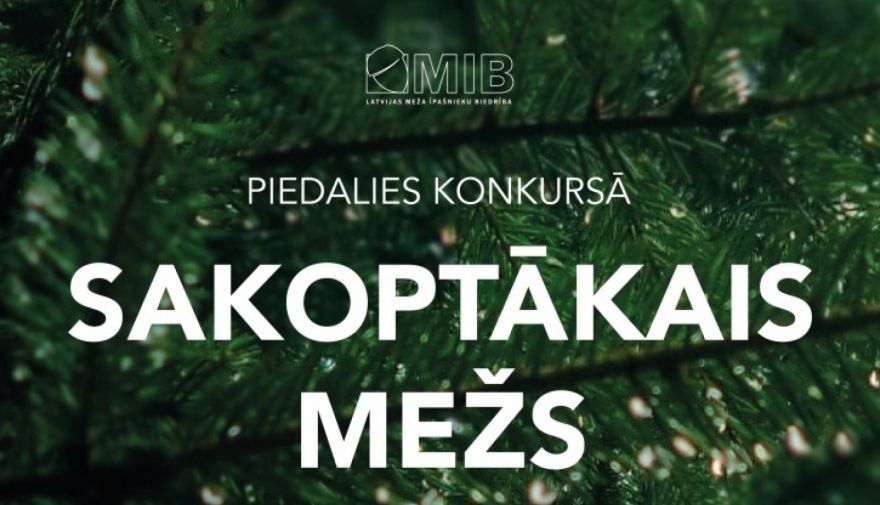 Izsludināta pieteikšanās konkursam "Sakoptākais mežs 2023"