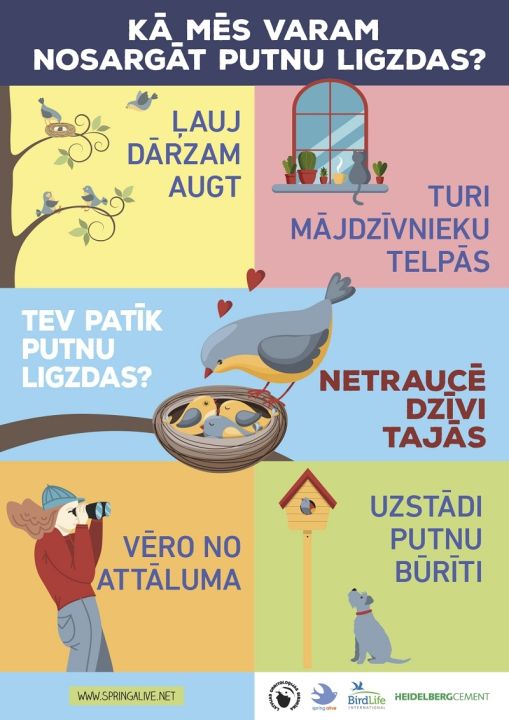 Jāļauj putniem ligzdot mierā